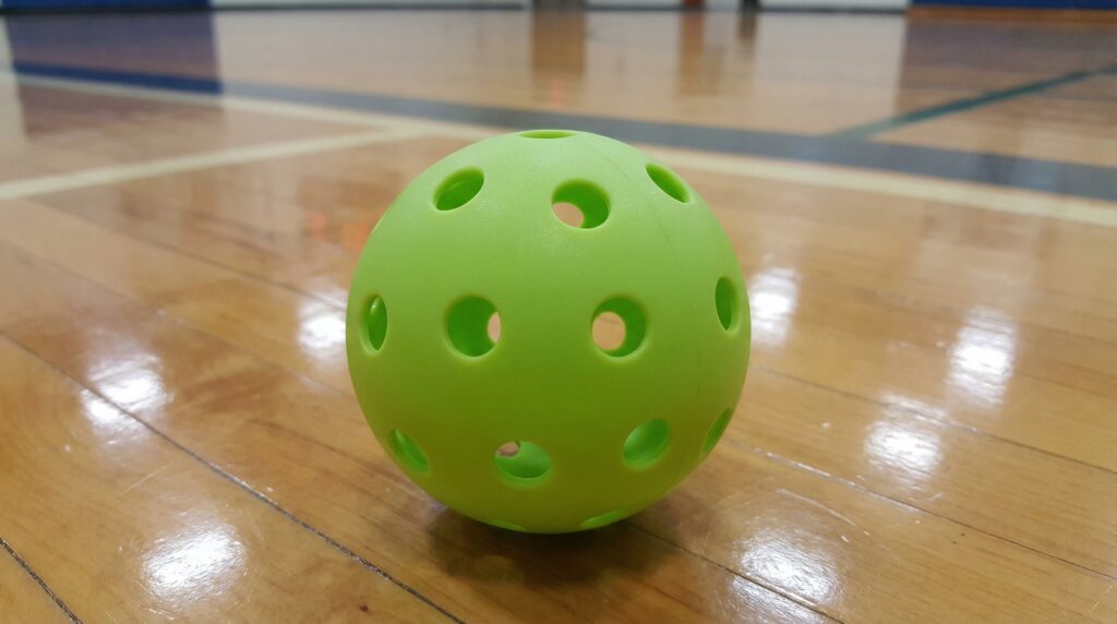 What Does a Pickleball Look Like 4