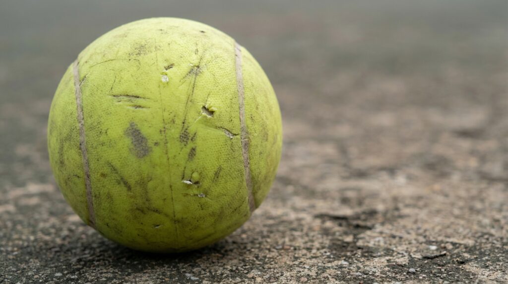 What Does a Pickleball Look Like 7